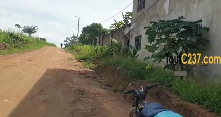 Plusieurs lots de terrain à vendre lendi