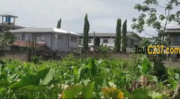 Plusieurs lots de terrain à vendre lendi