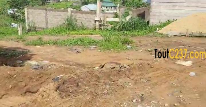 Plusieurs lots de terrain à vendre lendi