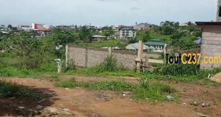 Plusieurs lots de terrain à vendre lendi