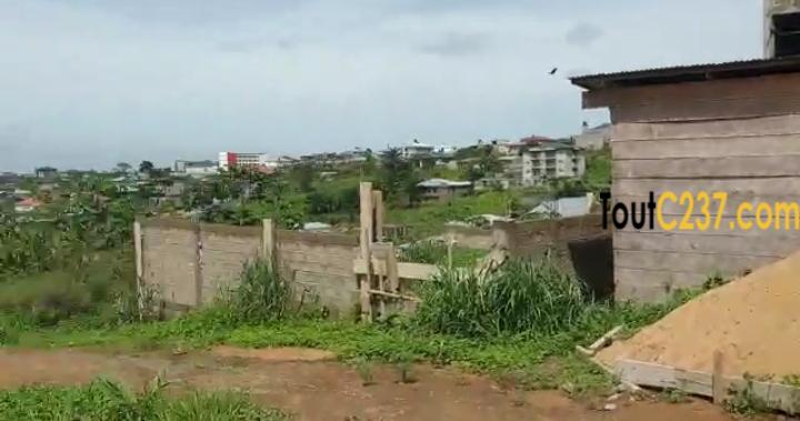 Plusieurs lots de terrain à vendre lendi