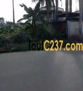 Terrain à vendre à Logpom (Le Nil)