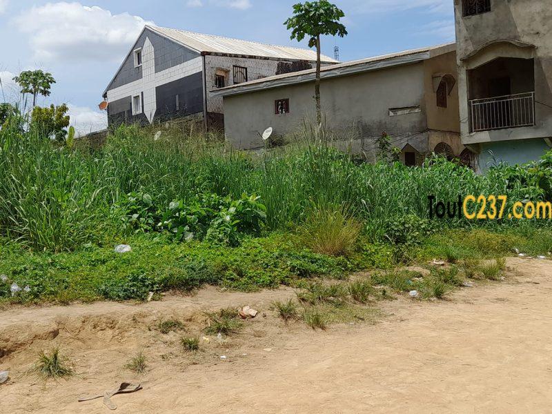 Terrain à vendre à Logbessou Douala