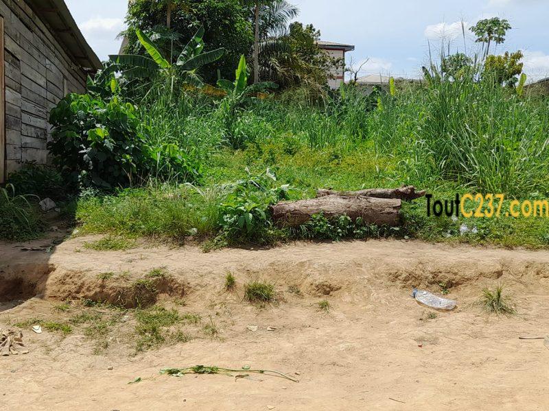 Terrain à vendre à Logbessou Douala