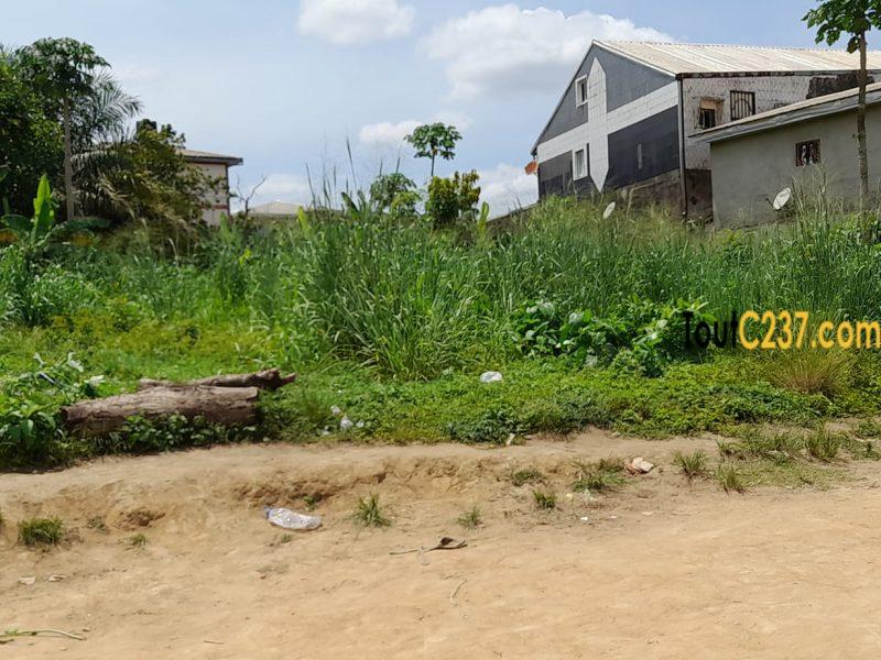 Terrain à vendre à Logbessou Douala