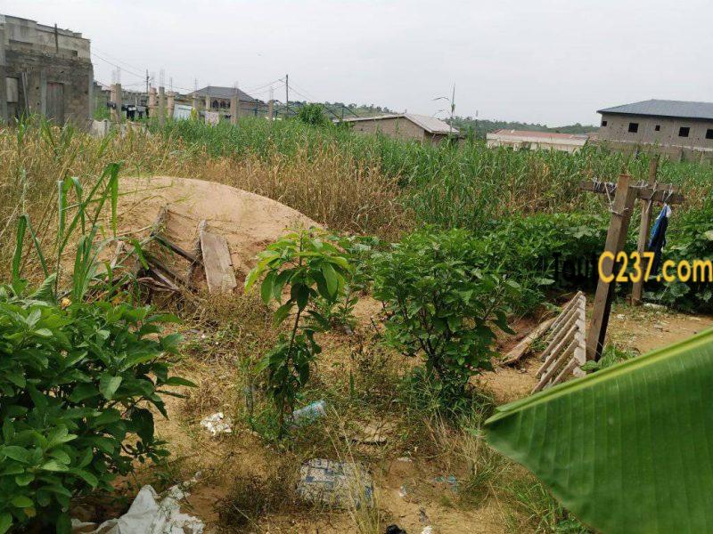 Terrain à vendre à Logbessou (antenne crtv)