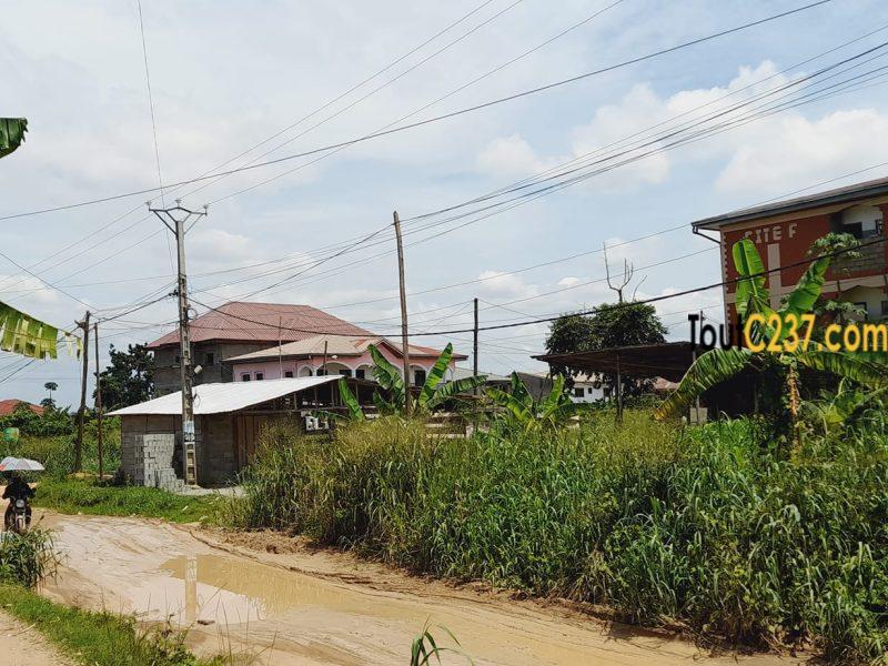 Terrain à vendre à Logbessou Douala