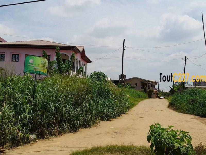 Terrain à vendre à Logbessou Douala