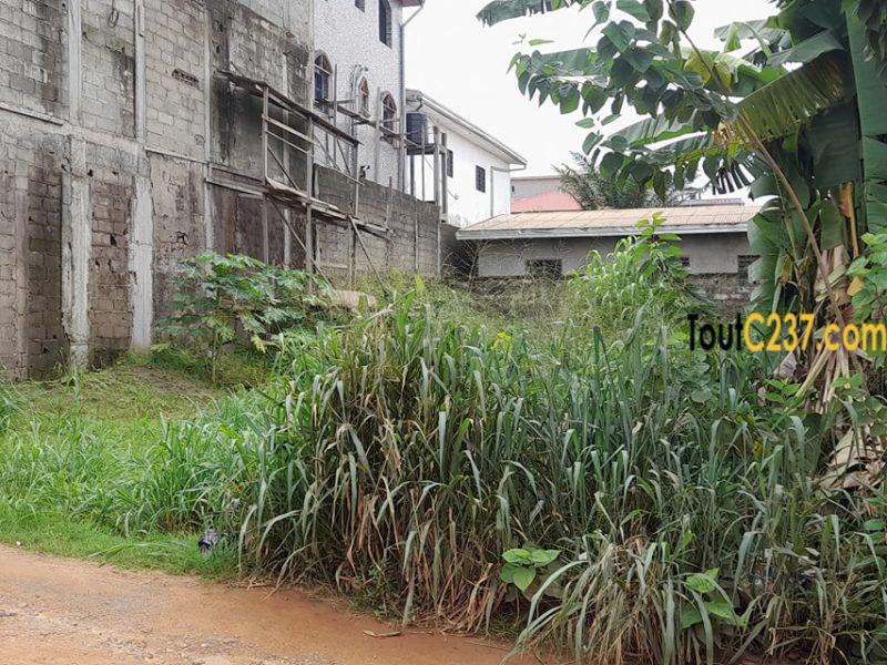 Terrain à vendre à Logpom Douala