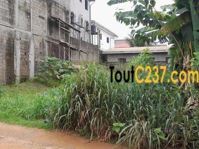 Terrain à vendre à Logpom Douala