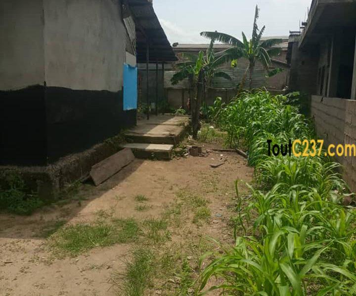 Terrain à vendre à Ndogbon Douala
