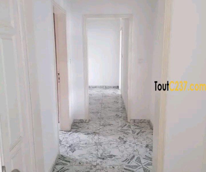 Appartement à louer à Bonapriso Douala