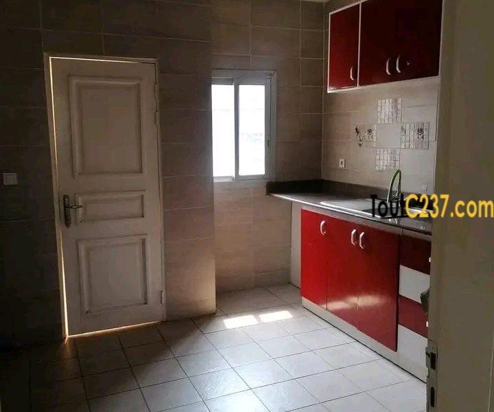 Appartement à louer à Bonapriso Douala