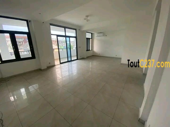 Appartement à louer à Bonapriso Douala