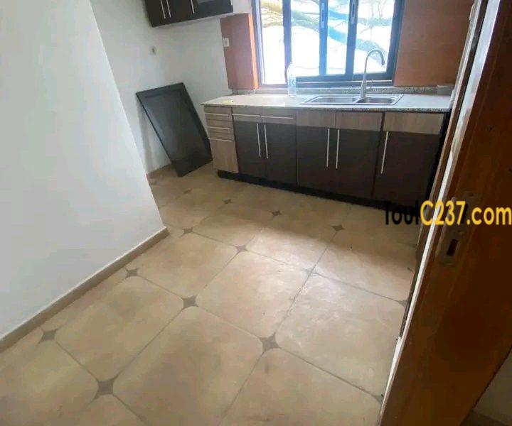 Appartement à louer à Bonapriso Douala