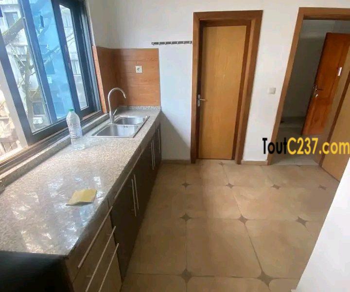 Appartement à louer à Bonapriso Douala