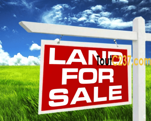 Terrain à vendre à Logbessou (Crtv)