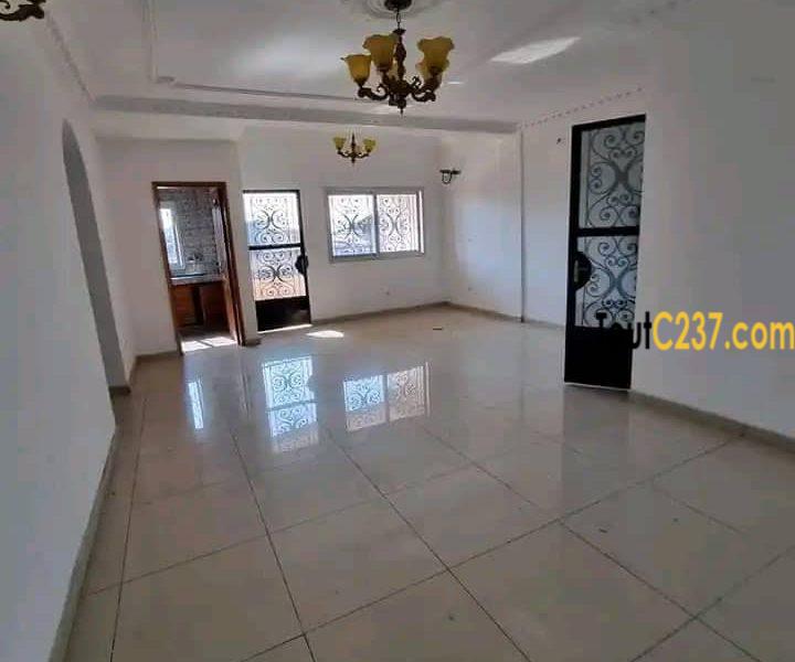 Appartement à louer à Akwa, Douala