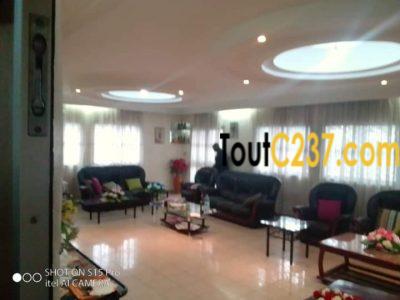 Duplex à vendre à Bonamoussadi