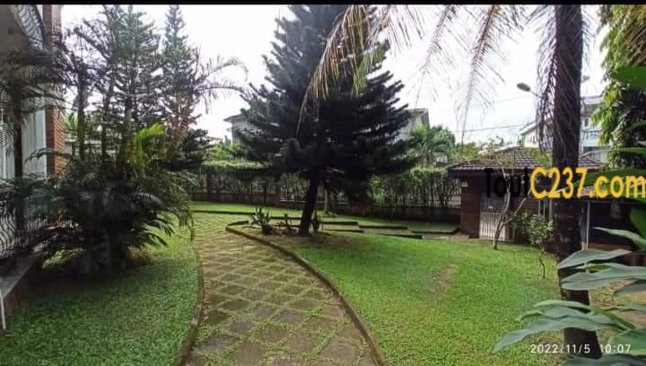 Duplex à vendre à Bonamoussadi, Douala