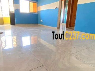 Studio moderne à louer à Makepe