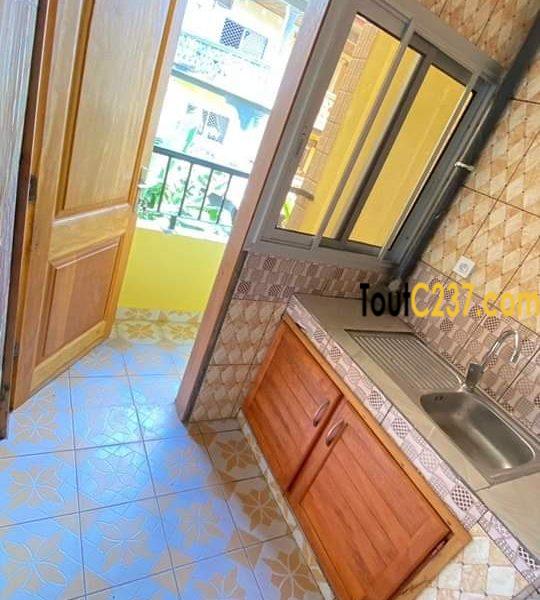 Studio moderne à louer à Makepe