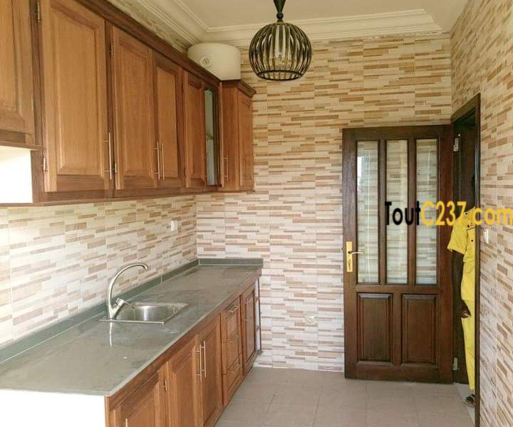 Appartement neuf à louer à Bonamoussadi