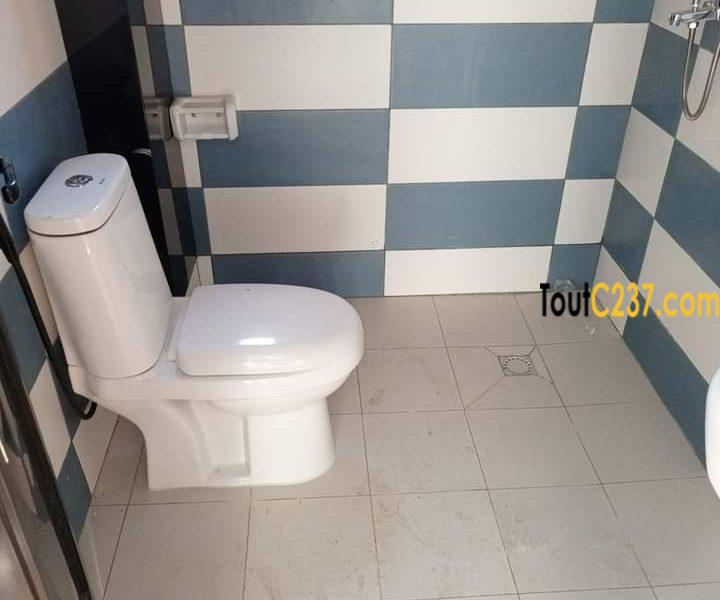 Appartement neuf à louer à Bonamoussadi