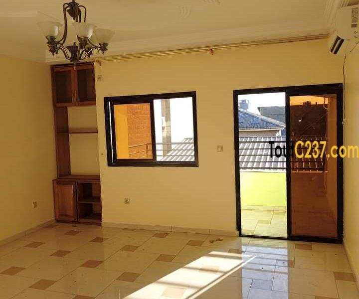 Appartement neuf à louer à Bonamoussadi