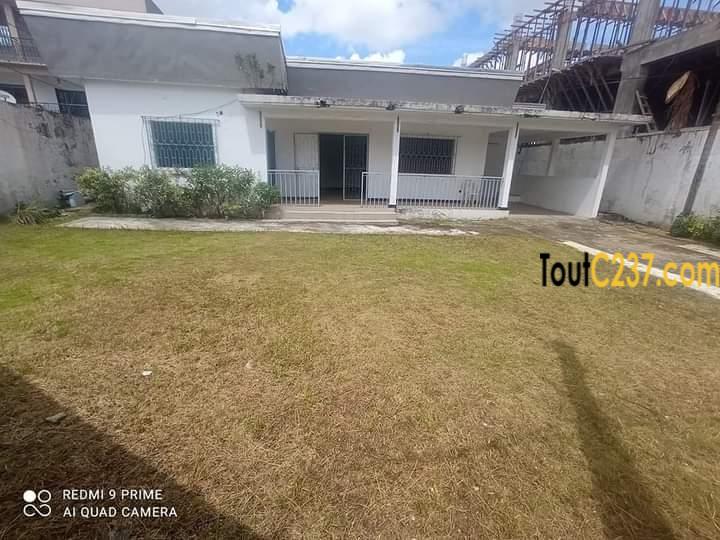 Maison en villa à louer à Bonapriso
