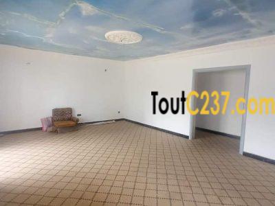 Maison en villa à louer à Bonapriso