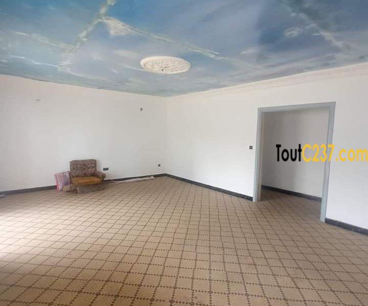 Maison en villa à louer à Bonapriso