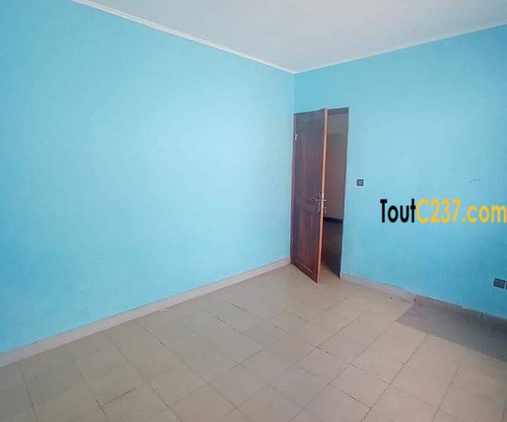 Maison en villa à louer à Bonapriso