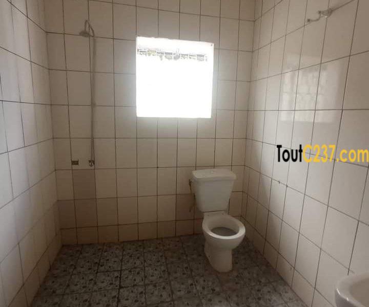 Maison en villa à louer à Bonapriso