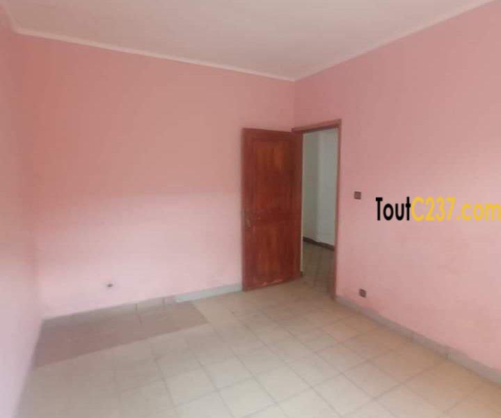 Maison en villa à louer à Bonapriso