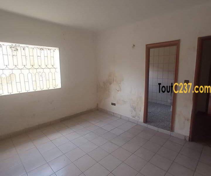 Maison en villa à louer à Bonapriso