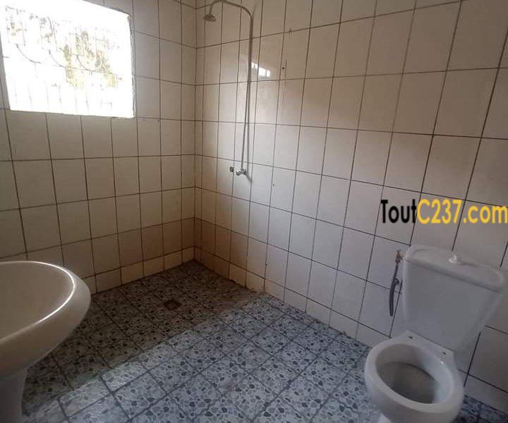 Maison en villa à louer à Bonapriso