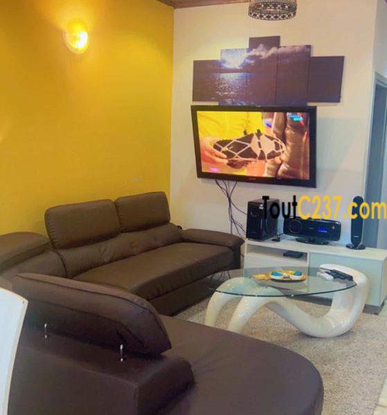 Appartement meublés à louer à Bonamoussadi