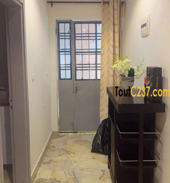 Appartement meublés à louer à Bonamoussadi