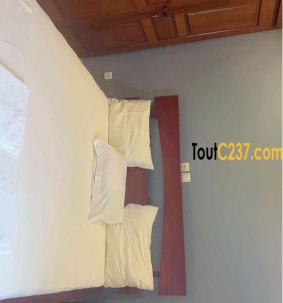Appartement meublés à louer à Bonamoussadi
