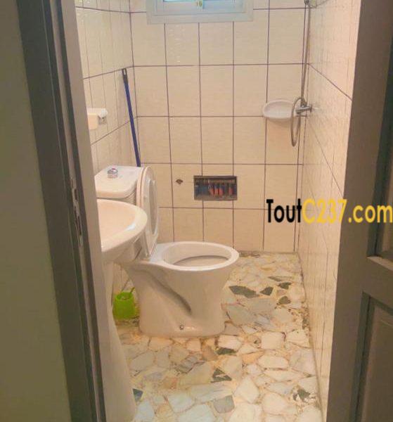 Appartement meublés à louer à Bonamoussadi