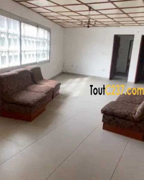Bureau à louer à Bali, Douala