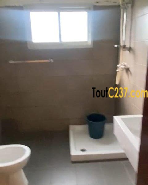 Bureau à louer à Bali, Douala