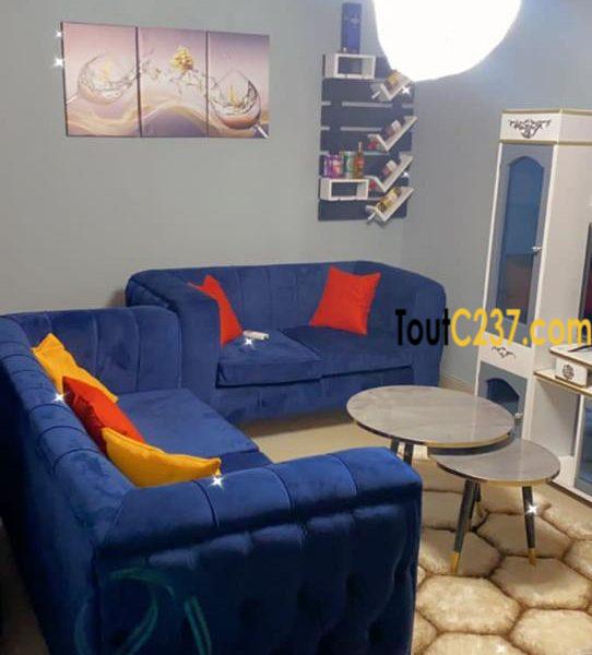 Appartement à louer à Bonamoussadi