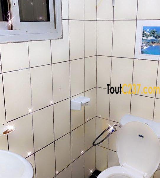 Appartement à louer à Bonamoussadi