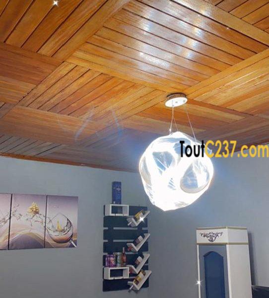 Appartement à louer à Bonamoussadi