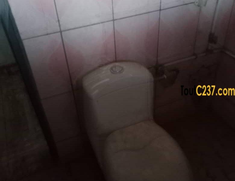 Vaste studio à louer à Kotto, Douala