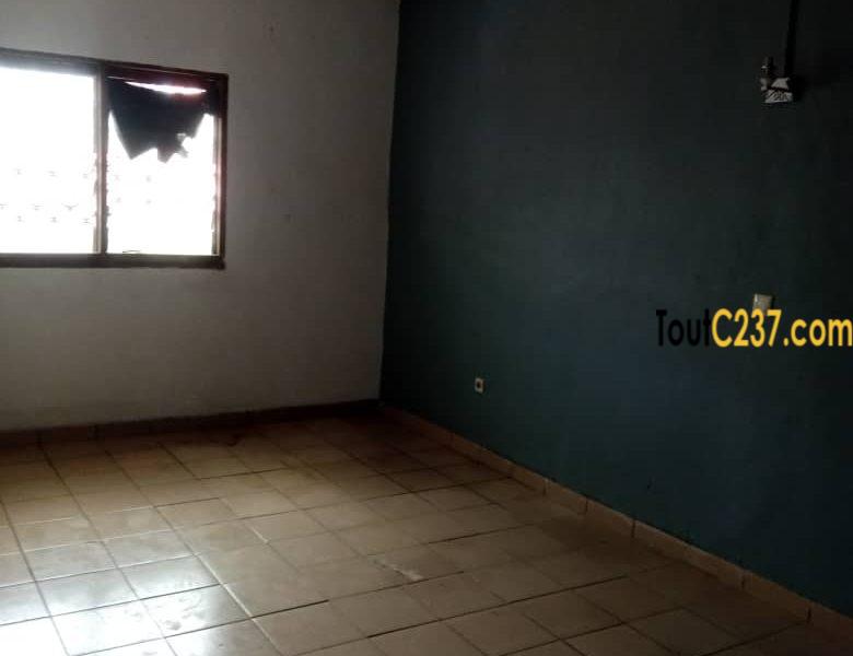 Vaste studio à louer à Kotto, Douala