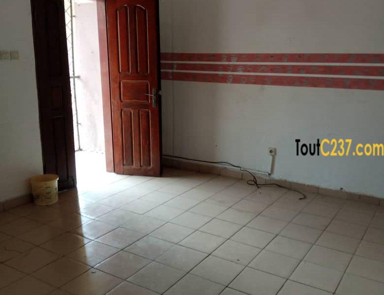 Vaste studio à louer à Kotto, Douala