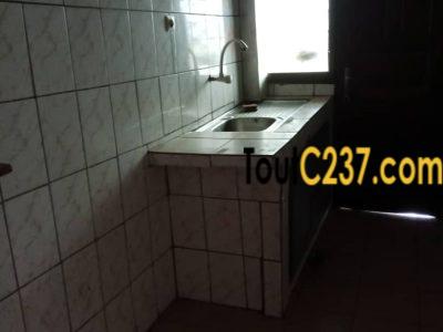 Vaste studio à louer à Kotto, Douala